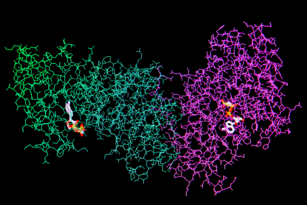 Imagen del Department Bioquímica y Biología Molecular